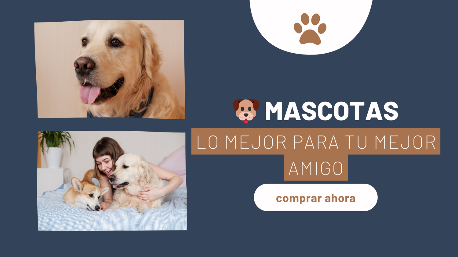 🐶 Mascotas