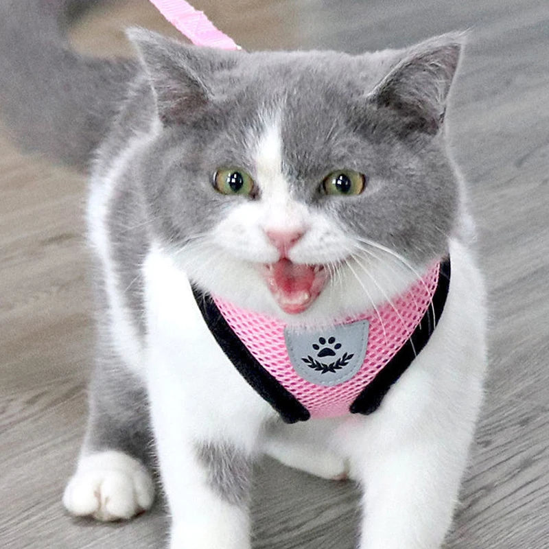 Arnés transpirable ajustable con correa para perro/gato