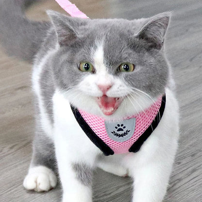 Arnés transpirable ajustable con correa para perro/gato